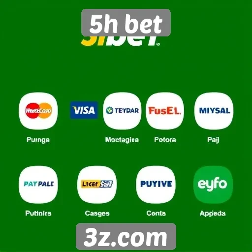 Opcões de pagamento oferecidas no 5h bet
